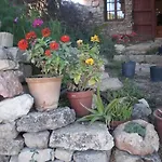 Alloggio per agriturismo Mas Del Salin