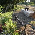 Mas Del Salin Alloggio per agriturismo