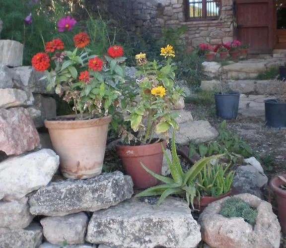 Agroturismo Mas Del Salin