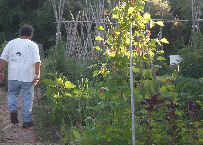 Agroturismo Mas Del Salin *