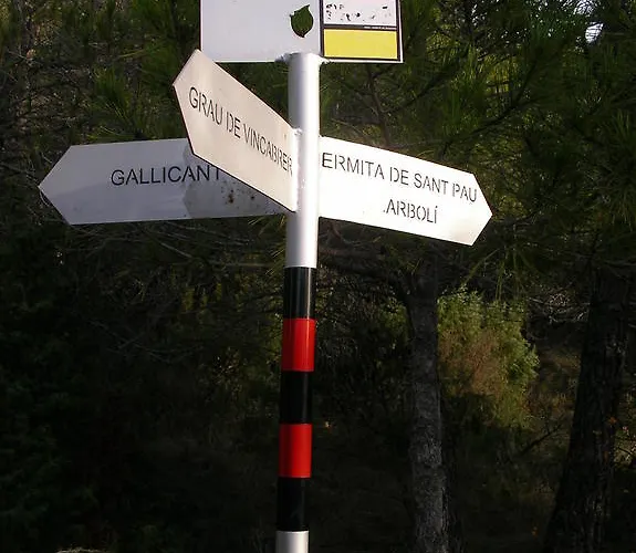 Mas Del Salin