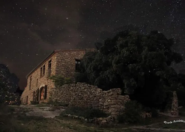 Agroturismo Mas Del Salin