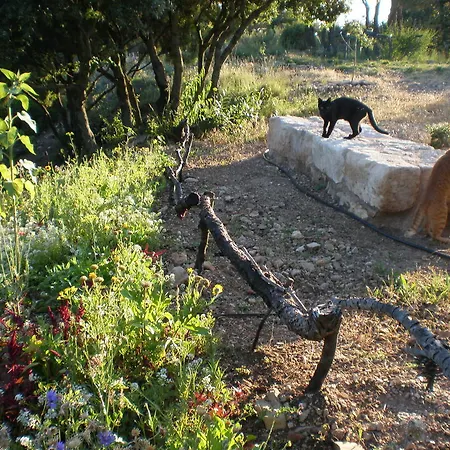 Mas Del Salin Farm stay