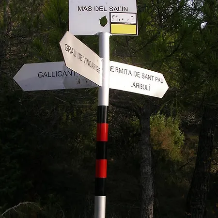 Mas Del Salin