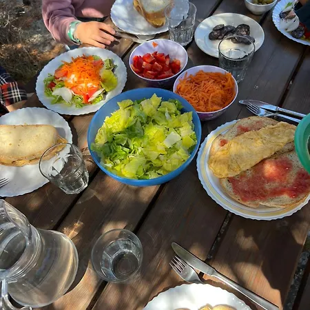 Mas Del Salin Farm stay